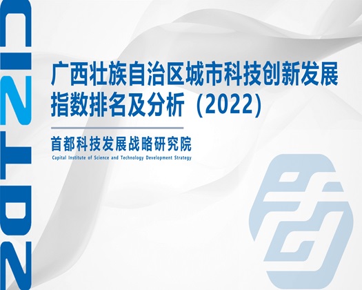 大屌日小逼【成果发布】广西壮族自治区城市科技创新发展指数排名及分析（2022）